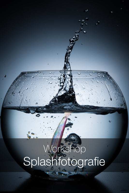 Workshop Splashfotografie